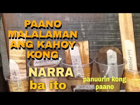 paano malalaman ang kahoy kong narra ba ito / how to know that wood is narra