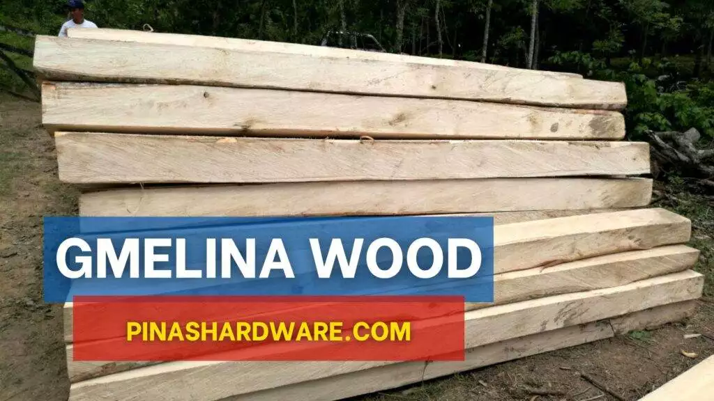 gmelina wood price philippines