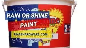 rain or shine paint price philippines